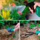 KIT DE JARDINAGE COMPLET